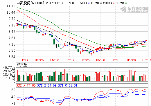 進軍新能源 中葡股份說明會釋疑跨界收購