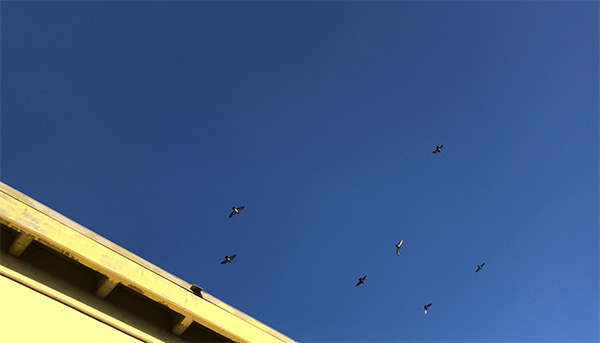 探訪賈躍亭美國造車工廠:沒有任何生產設備 僅一名員工打卡 探訪賈躍亭美國造車工廠:沒有任何生產設備 僅一名員工打卡