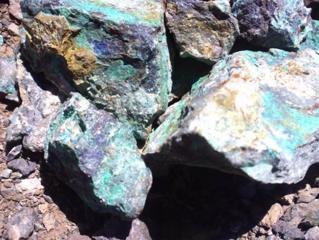 廢銅進口受限將加大中國銅精礦進口量