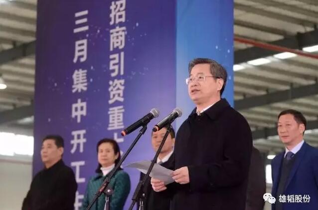 總投資115億元 雄韜氫燃料電池產業園武漢開工