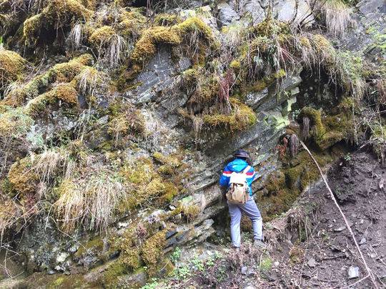 近年四川鋰礦探明超200萬噸 或成新能源車電池“主力軍”