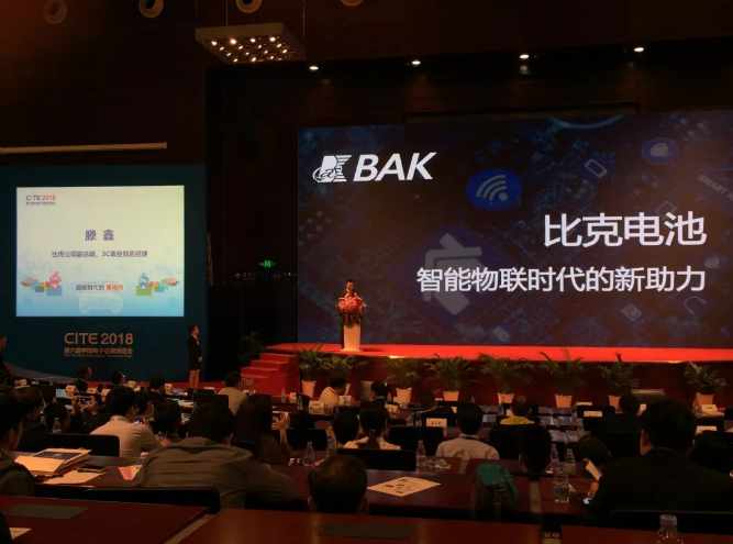 比克為什么向產(chǎn)業(yè)下游和尾端拓展延伸小型消費(fèi)鋰電產(chǎn)業(yè)