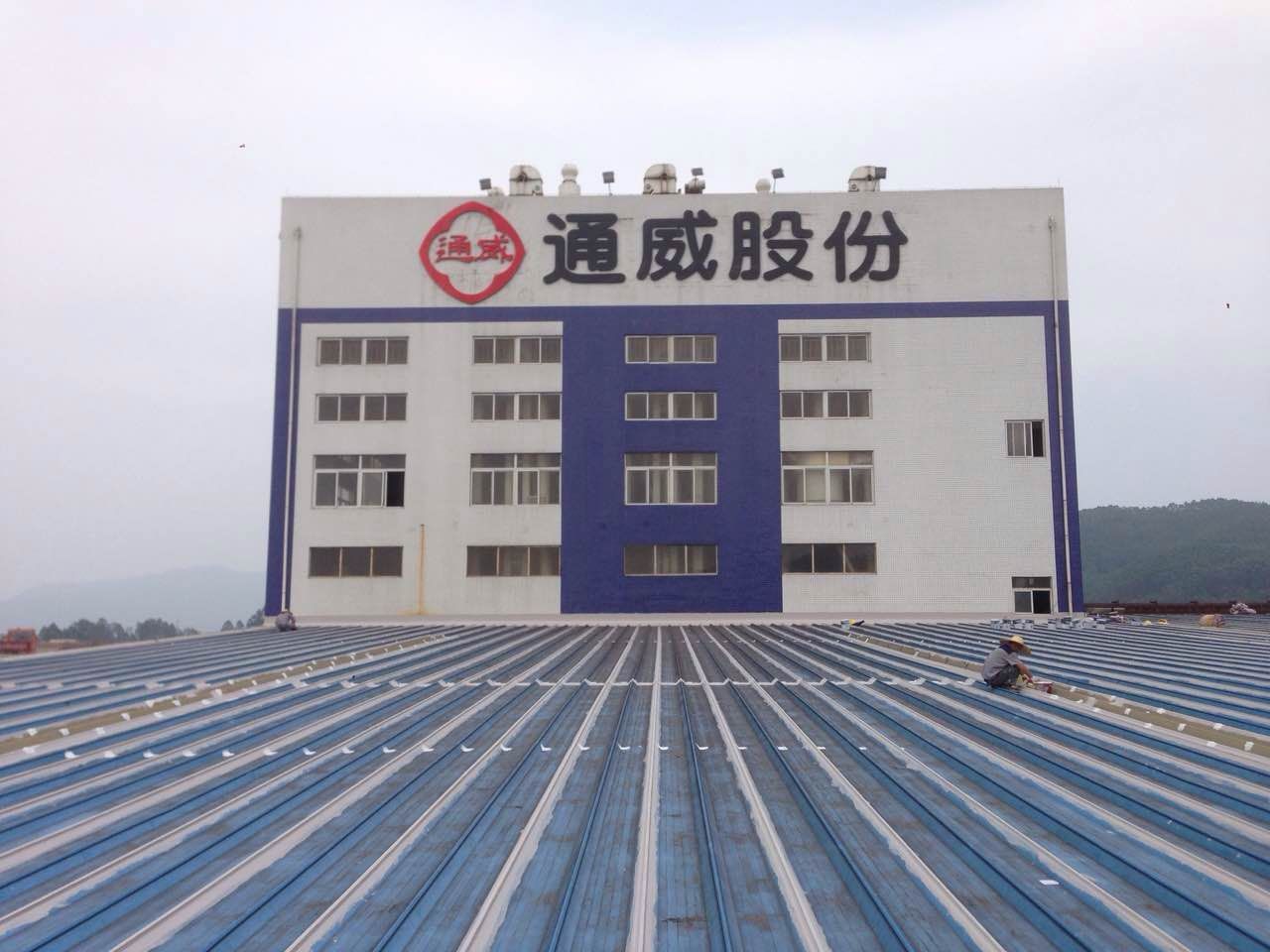 通威股份 通威股份