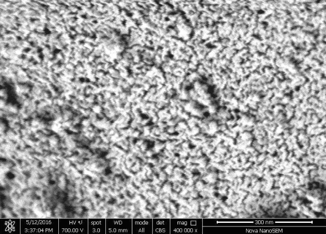【獨家】上海恒侖研發出生物彈性納米氧化亞硅負極材料 成本低 可量產