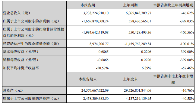 堅瑞沃能主要會計數據和財務指標