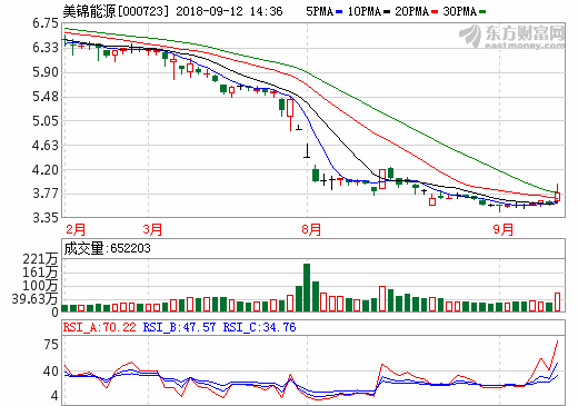 美錦能源擴張氫能源產(chǎn)業(yè)鏈 子公司氫燃料電池汽車首次出口