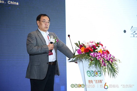 北京大學教授、鋰電“達沃斯”學委會主席其魯