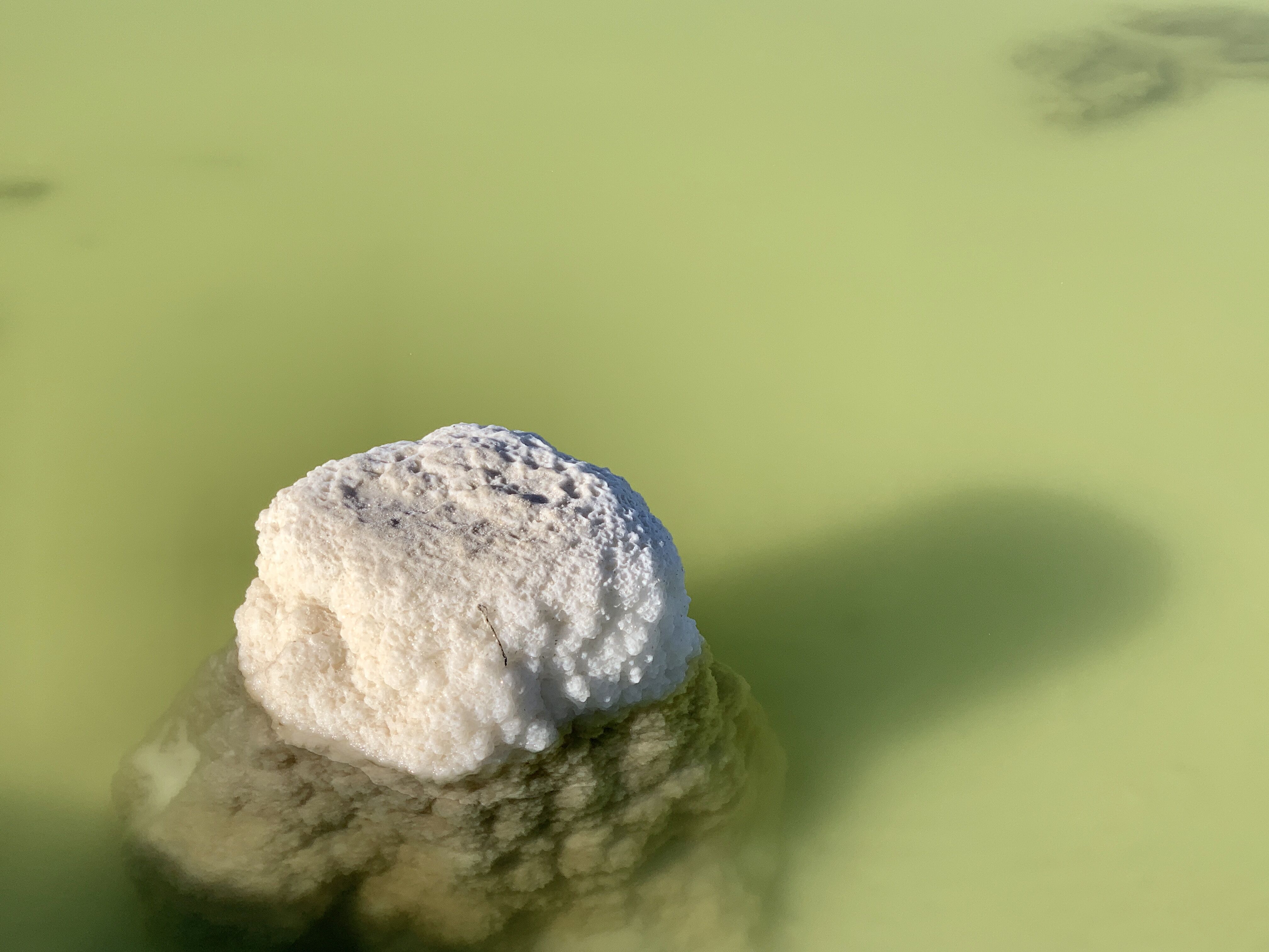 2018年我國鋰產品出口4.23萬噸 氫氧化鋰凈出口量2.6萬噸