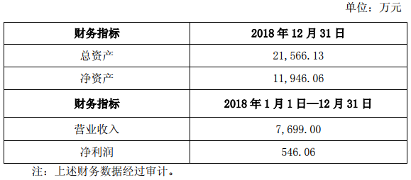 新源動(dòng)力2018年的主要財(cái)務(wù)數(shù)據(jù)