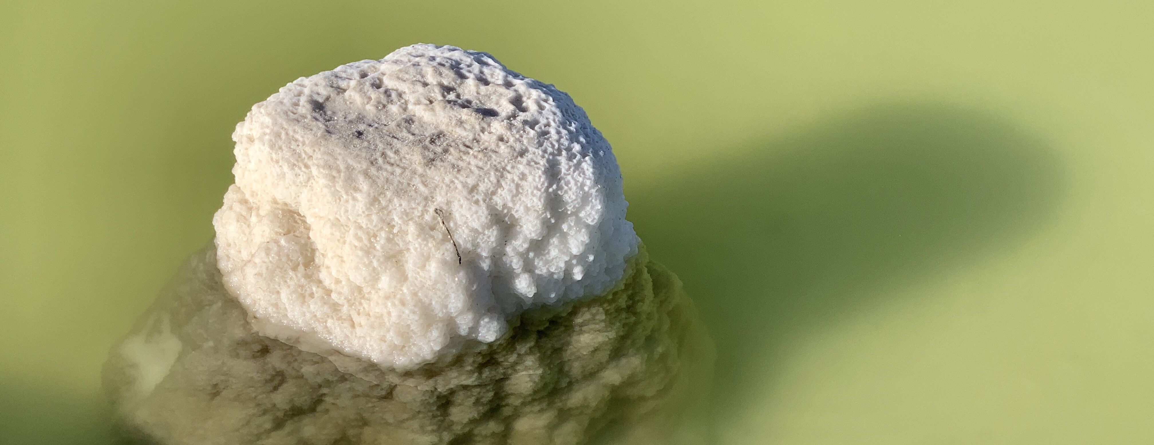 2019下半年化工市場(chǎng)展望 碳酸鋰：成本支撐 走勢(shì)平穩(wěn)