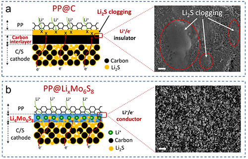 圖4. PP@LixMo6S8功能隔膜與涂覆碳PP@C隔膜對(duì)比圖