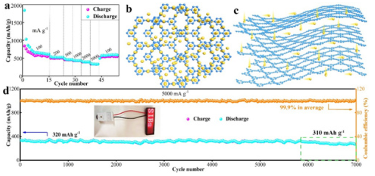 HsGY及其電化學性能