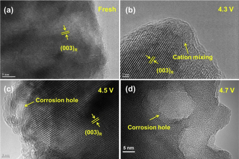 喊話特斯拉：無鈷電池真的來了 突破800km續航！