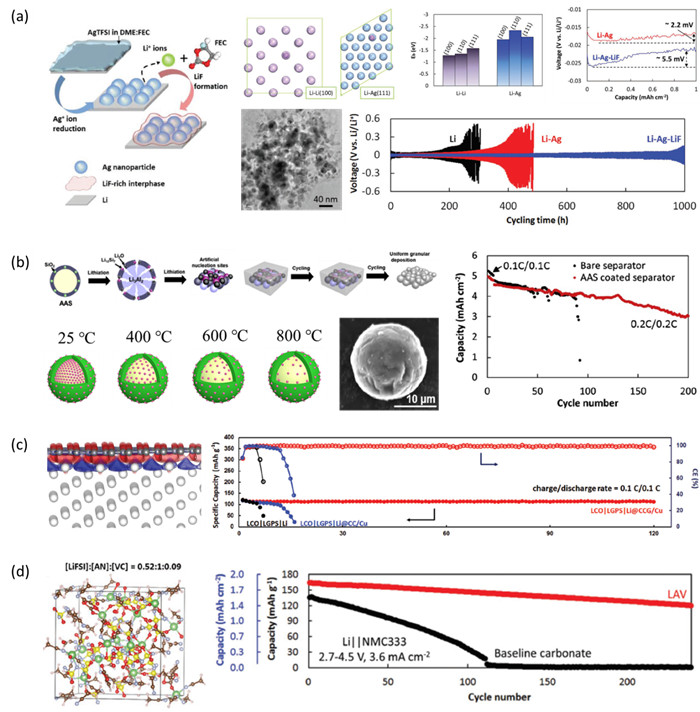 寧波材料所在高比能鋰金屬負極保護方面取得系列進展