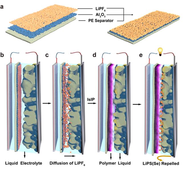 化學(xué)所提出混合固液電解質(zhì)結(jié)構(gòu)設(shè)計(jì)策略