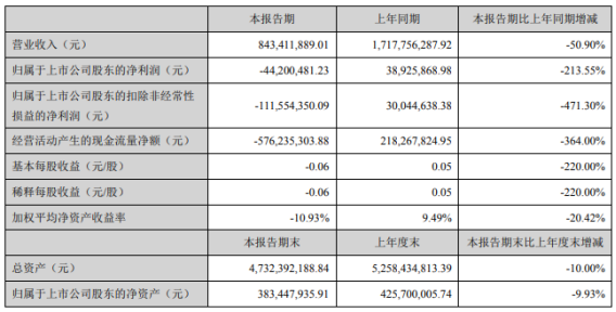 ST安凱主要會計數據和財務指標 ST安凱主要會計數據和財務指標