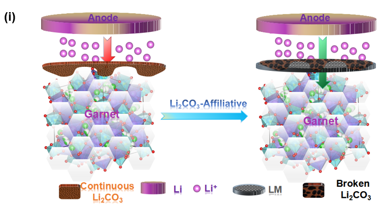 針對(duì)親鋰界面層構(gòu)建的“鈍化”碳酸鋰親附締合及碎化機(jī)制