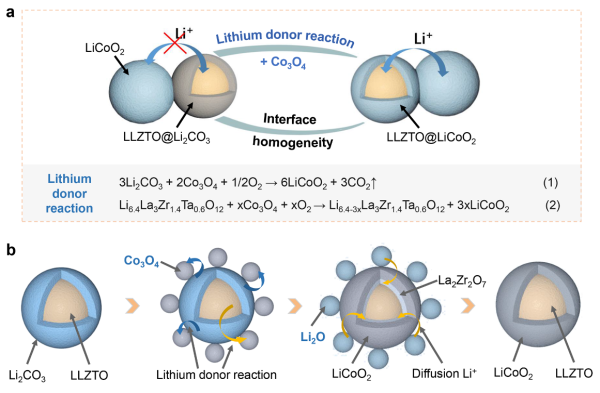 （a）鋰供體反應技術示意圖；（b）LLZTO表面Li2CO3向LiCoO2轉化過程示意圖