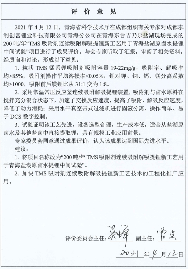 成果評(píng)審意見