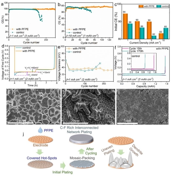 圖2.鋰銅非對稱電池的電化學性能、鋰在銅表面的沉積形貌和沉積演化