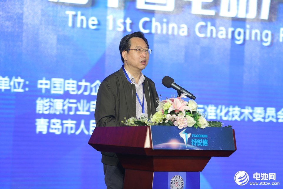 中國(guó)電力企業(yè)聯(lián)合會(huì)電動(dòng)汽車與儲(chǔ)能分會(huì)會(huì)長(zhǎng)王志軒