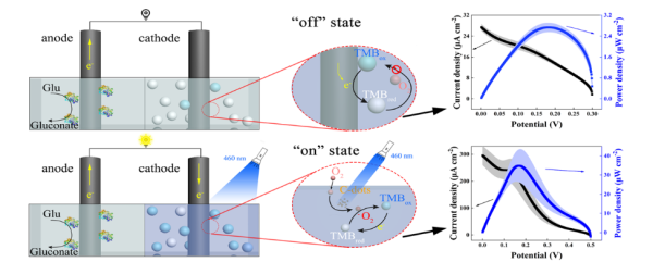 基于碳點(diǎn)和TMB的酶燃料電池光開(kāi)關(guān)的工作原理示意圖
