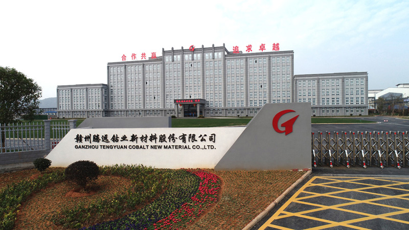 騰遠鈷業,鈷鹽,三元前驅體