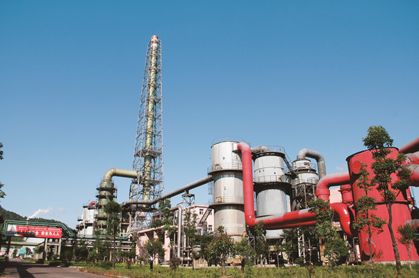 圖片來源：司爾特官網