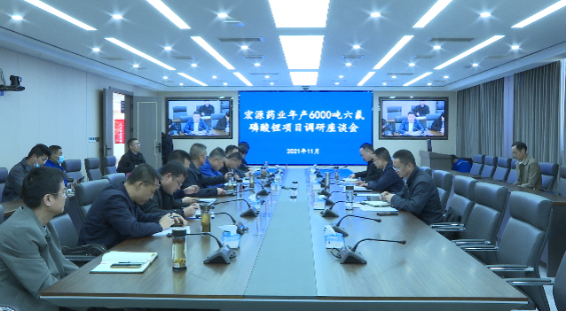 湖北羅田就宏源藥業(yè)六氟磷酸鋰項(xiàng)目進(jìn)行再部署