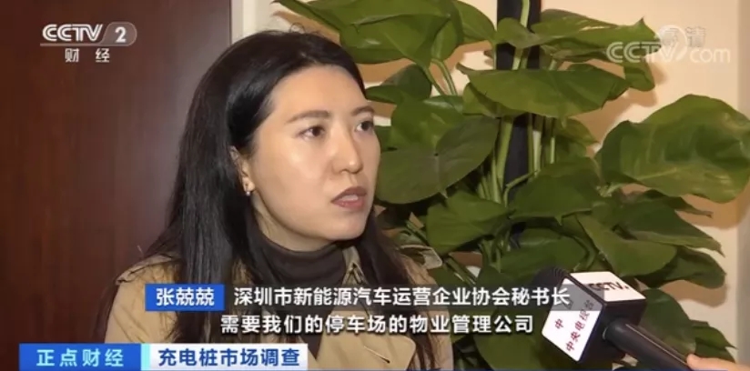 深圳市新能源汽車運營企業協會秘書長 張兢兢