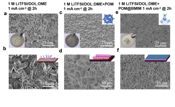 上海硅酸鹽所鋰金屬電池雙功能電解液設(shè)計(jì)研究獲進(jìn)展