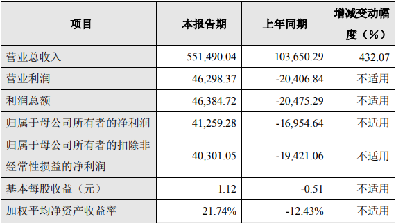 振華新材2021年度主要財務數據和指標（單位：萬元）