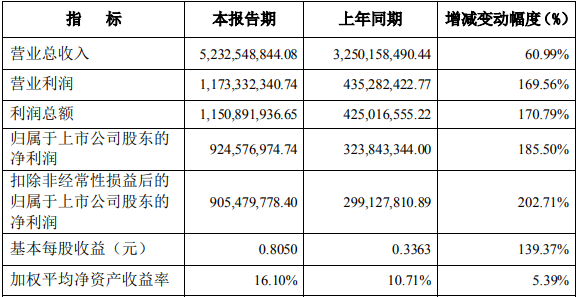 雅化集團(tuán)2021年主要財(cái)務(wù)數(shù)據(jù)和指標(biāo)（單位/元）