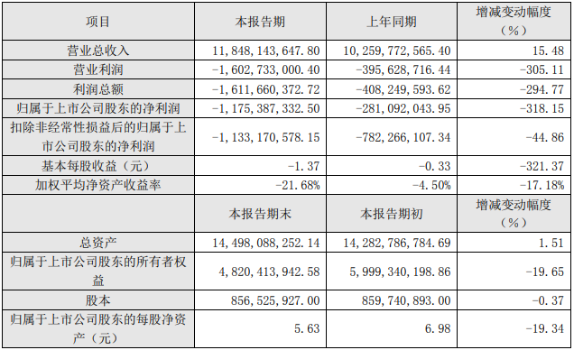 2021年度主要財務數據和指標（單位：元）