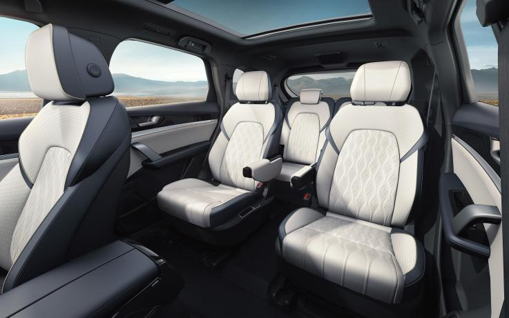 新能源汽車,電動(dòng)汽車,比亞迪