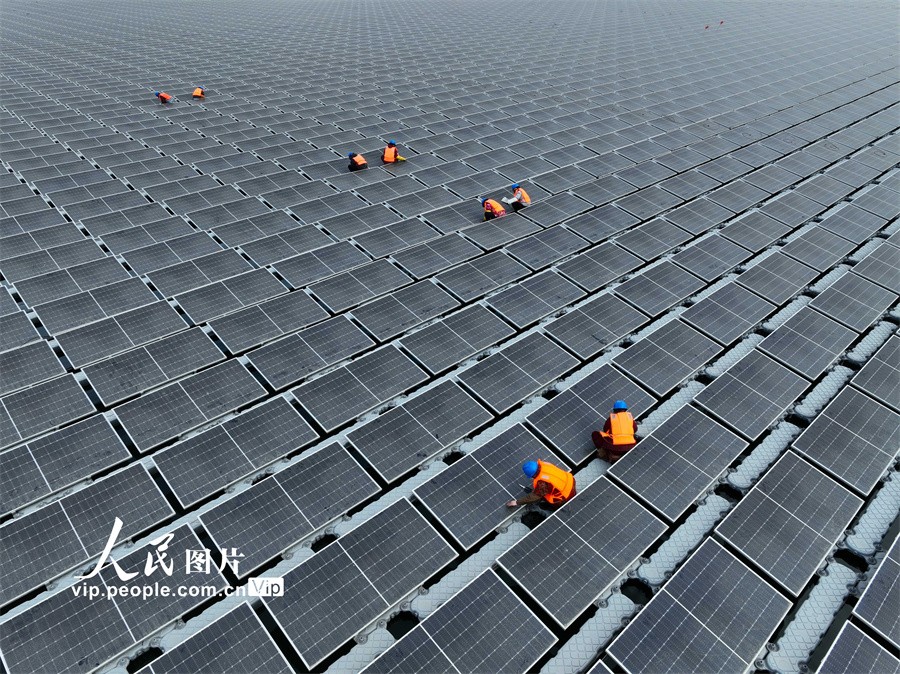 山東聊城：202兆瓦水上漂浮式光伏電站即將投產發電