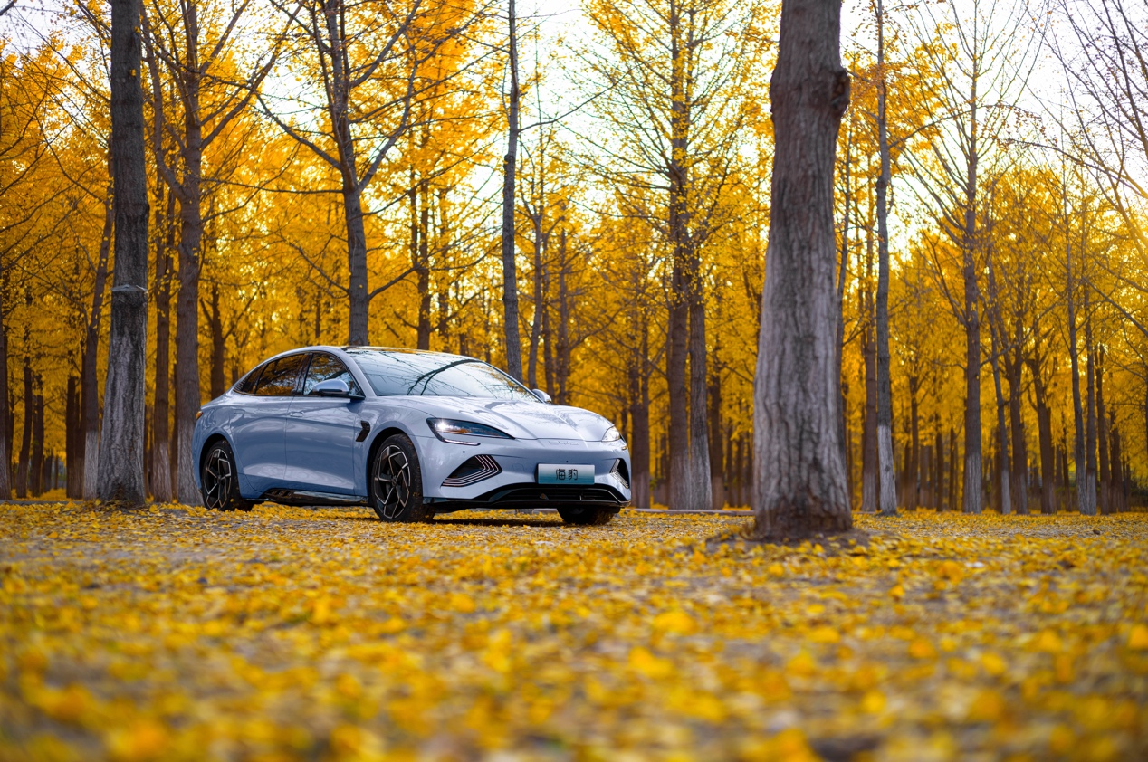 新能源汽車,電動汽車,比亞迪,海豹