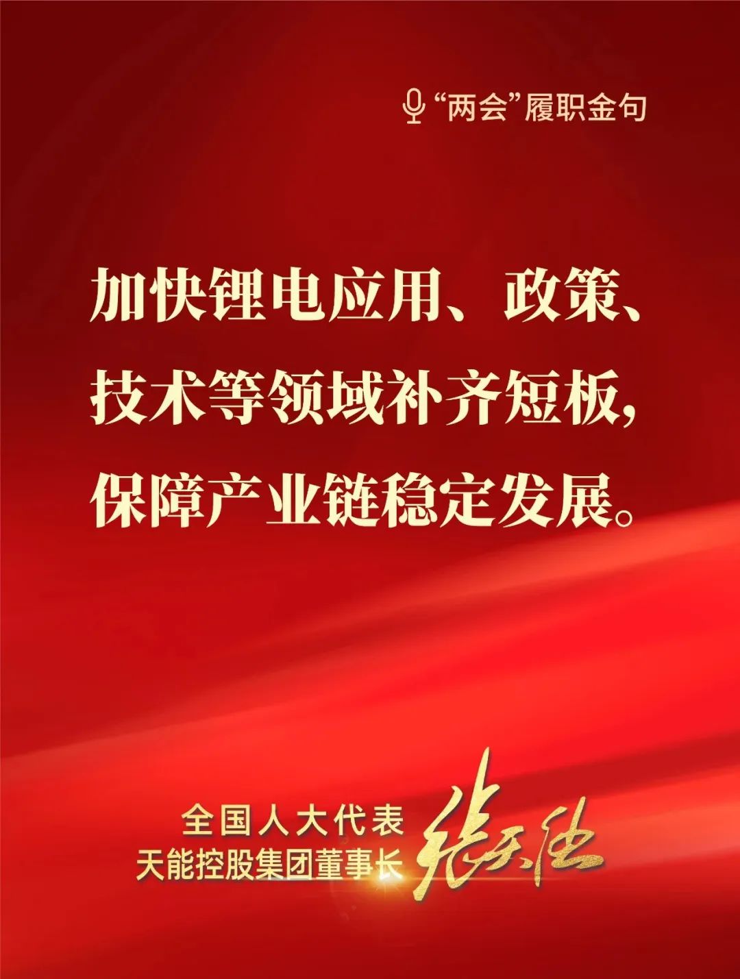 全國人大代表，天能控股集團董事長張天任