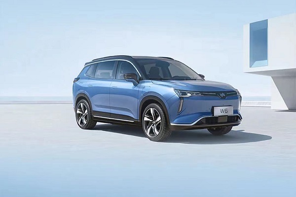 威馬汽車正式申請破產重整 公司：不會躺平更不會倒下