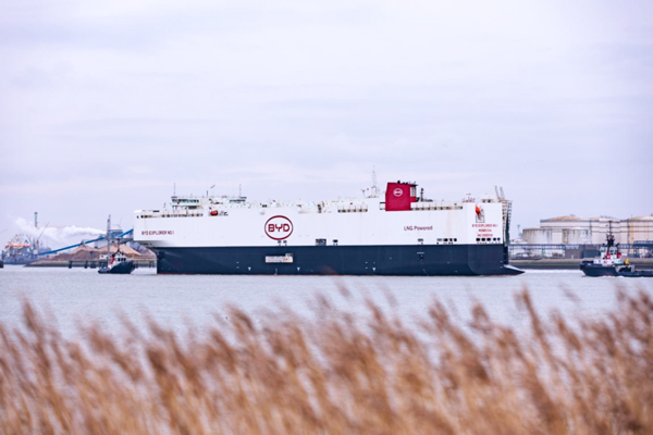 圖/比亞迪 圖/比亞迪