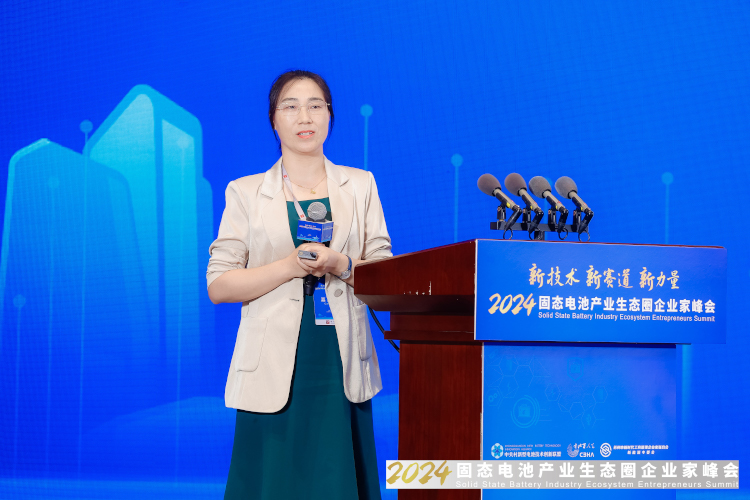 諾德新材料股份有限公司研究院院長、博士丁瑜