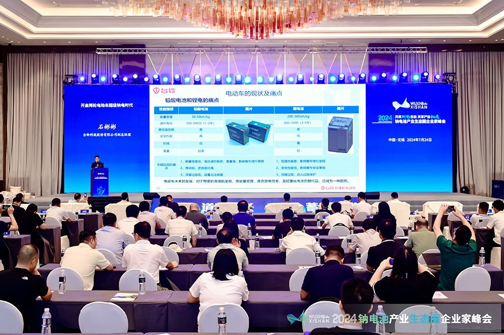 2024中國（無錫）鈉電池產業生態圈企業家峰會現場