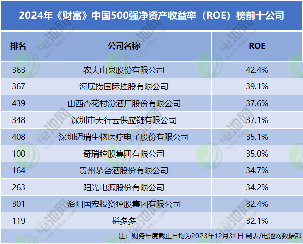 2024年《財富》中國500強凈資產收益率（ROE）榜前十公司