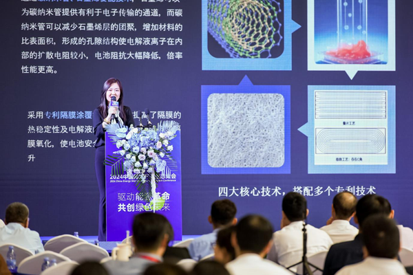 邢東鋰電副總經(jīng)理兼國(guó)際業(yè)務(wù)總裁 李佳