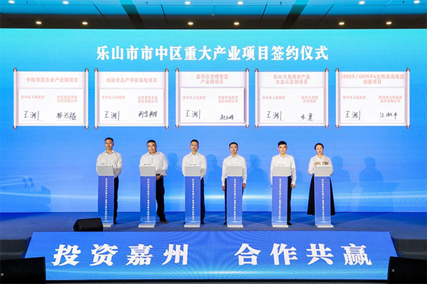 釩電池,儲能,偉力得