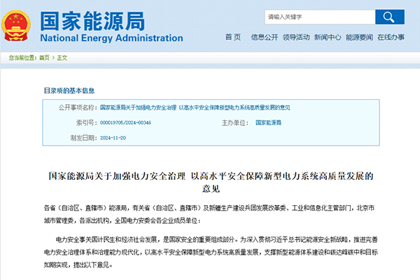 《關于加強電力安全治理 以高水平安全保障新型電力系統高質量發展的意見》