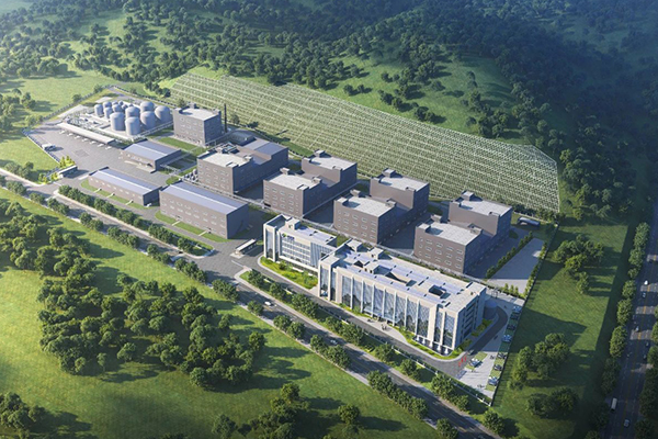 圖片來源：大亞灣發布