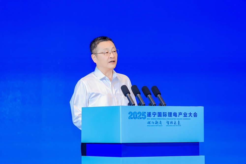 葛紅林：暴利時代終結 四大方向破局鋰電原材料“修復期”